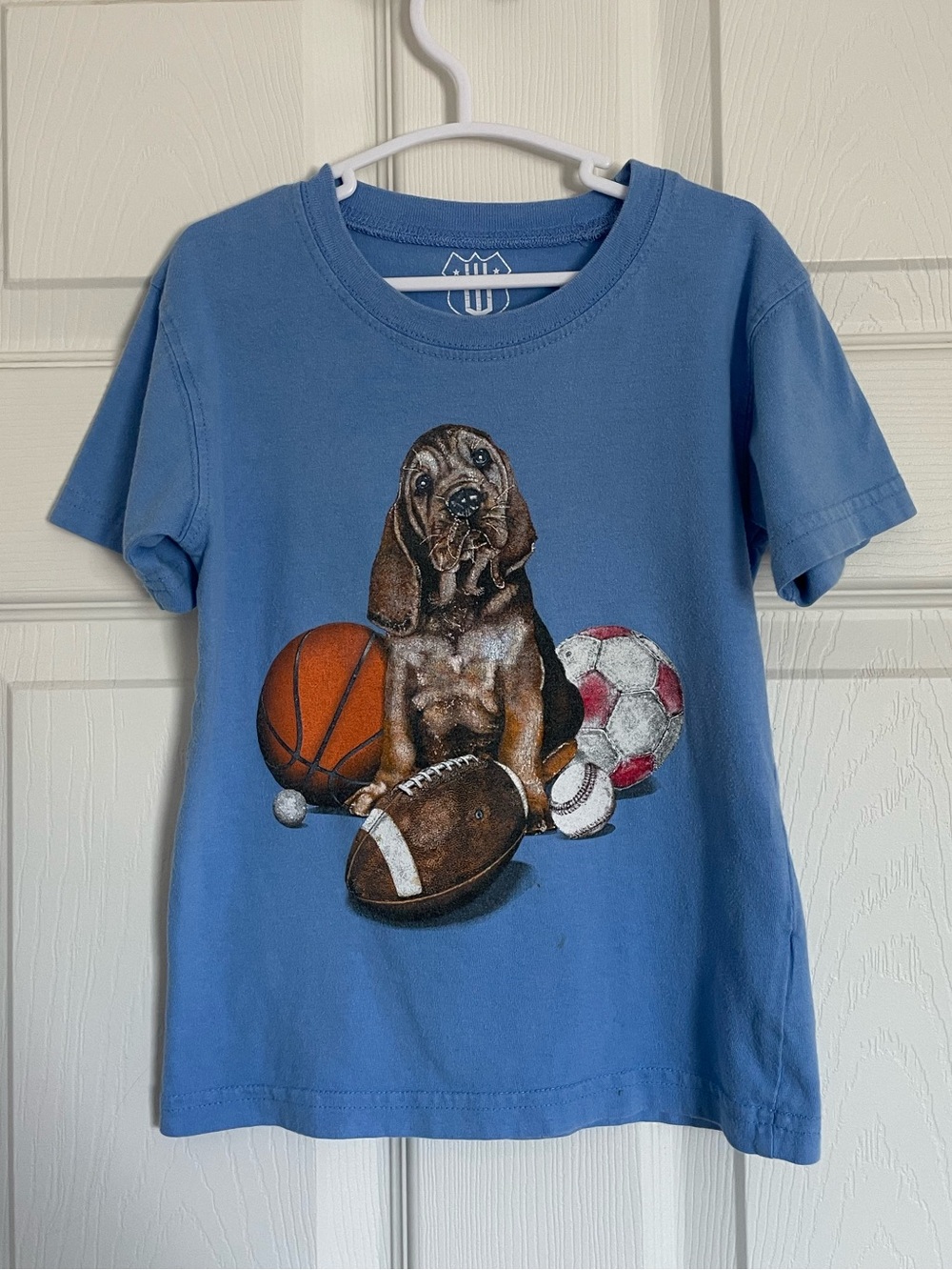 Basset Hound Sports Graphic T-Shirt Toddler Boys 2T Blue Short Sleeve Animals